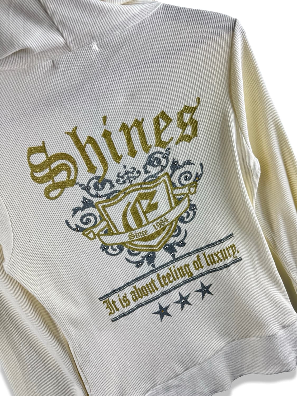 JPN Y2K 레터링 딱붙 후드집업2392 상품이미지5