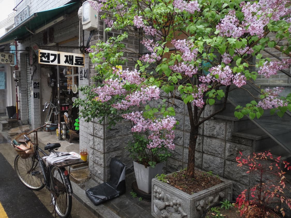 Canon ixy3=ixus500HS(작례0) 상품이미지7