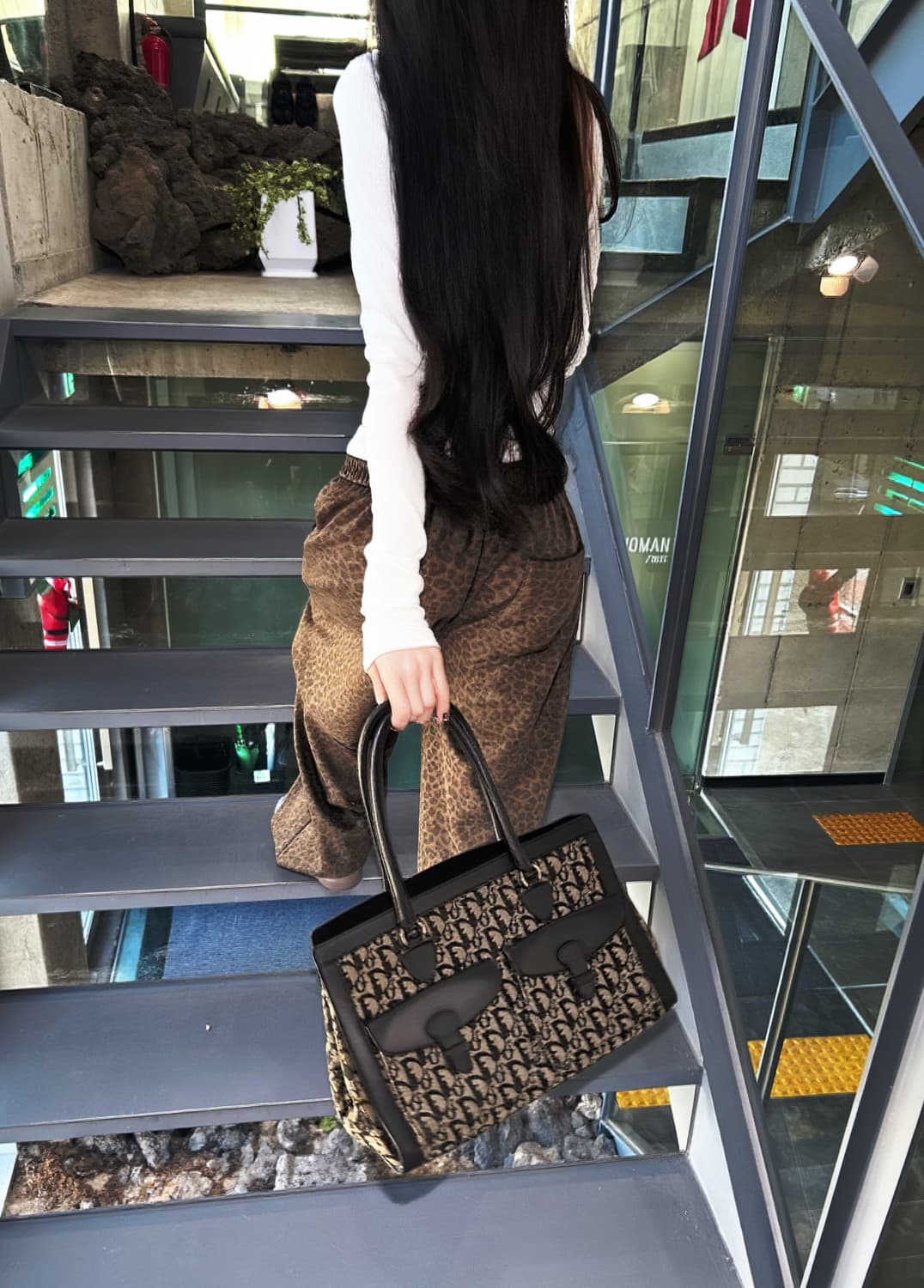 디올 트로터 토트백 상품이미지2