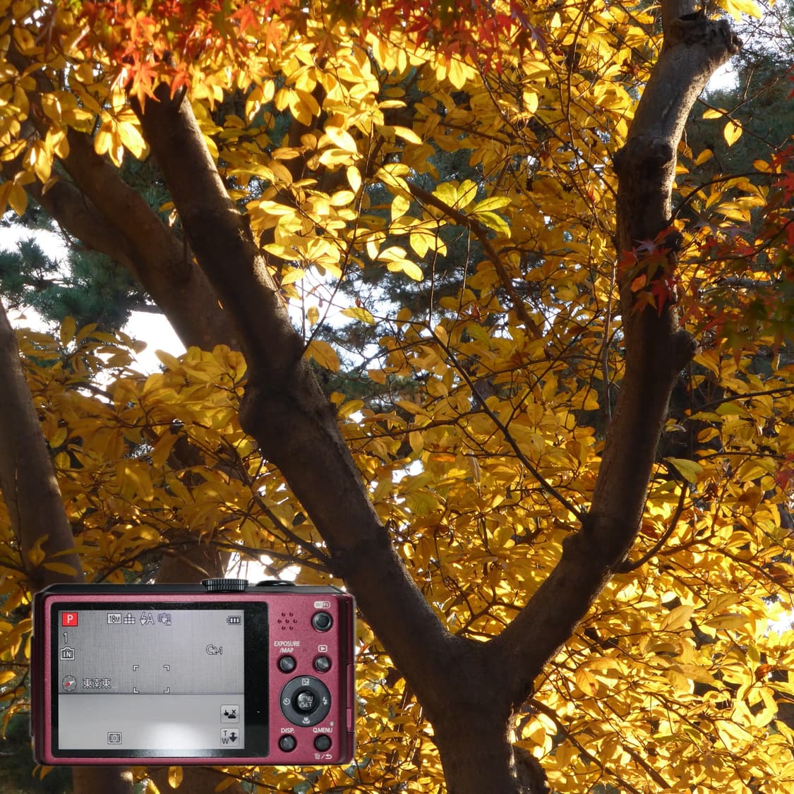 Panasonic TZ40 (✨민트급/라이카) 상품이미지3