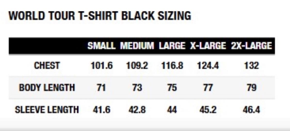 [M]25ss 팔라스 월드투어 티셔츠 그레이 상품이미지3