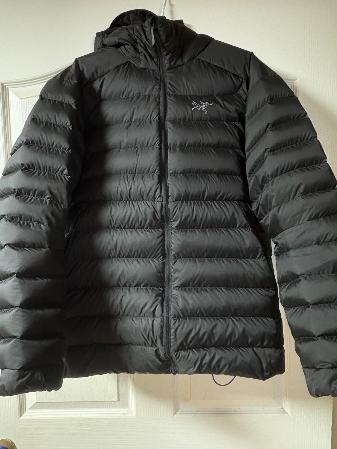 아크테릭스 세륨 후디 블랙L 상품이미지2