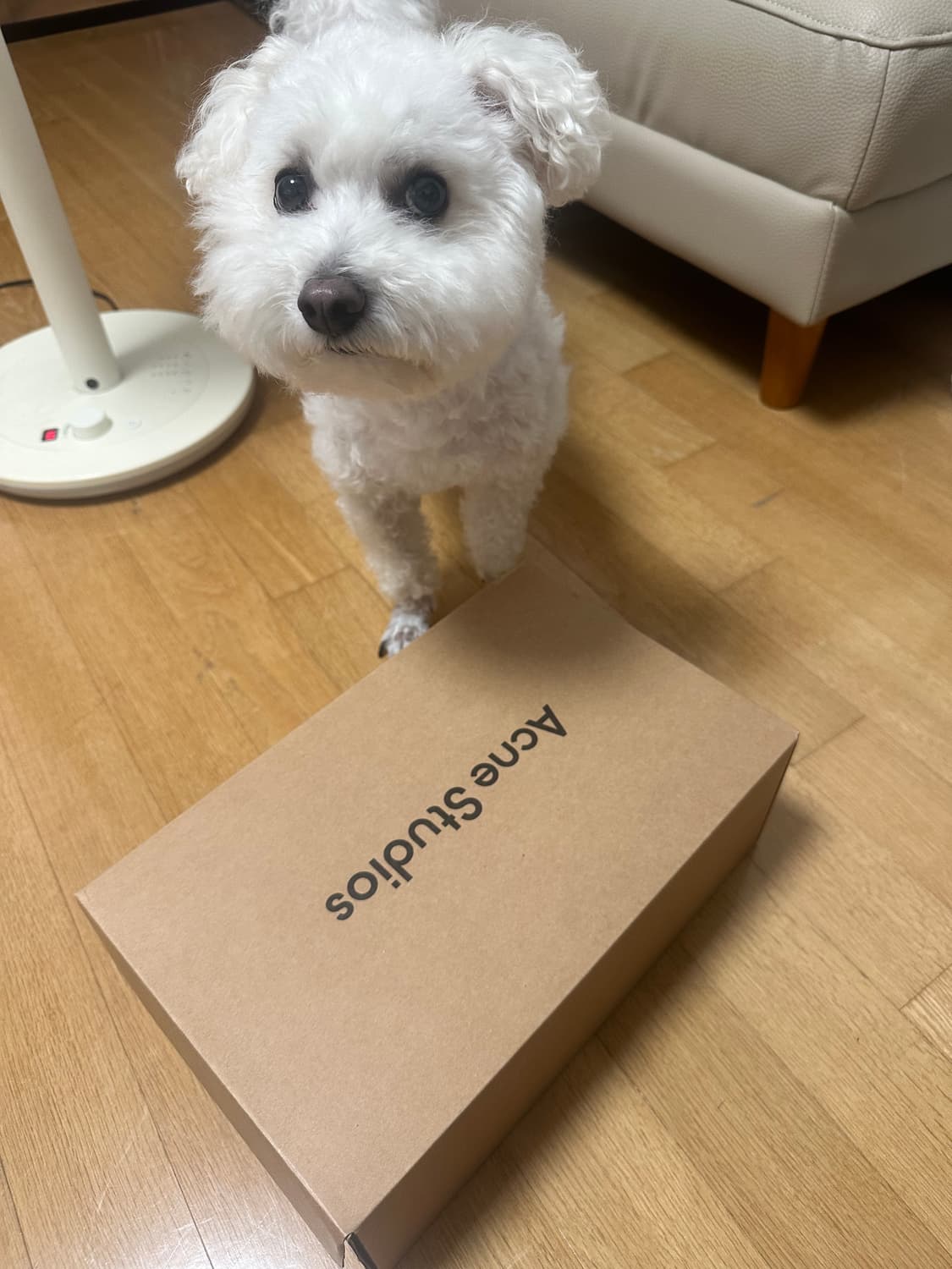 아크네 스튜디오 신발 상품이미지6