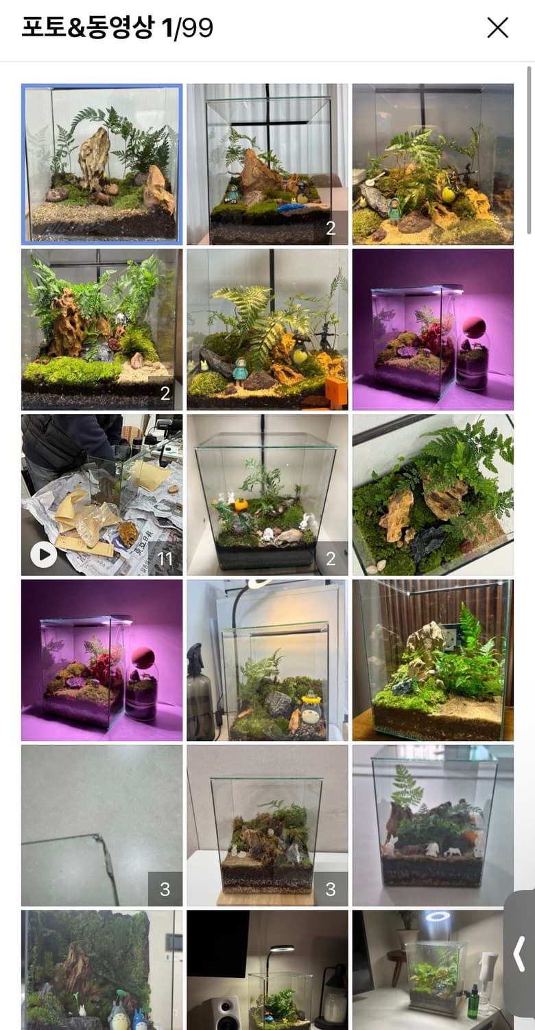 이너푸름 테라리움 비바리움 대형어항 및 조명 상품이미지3