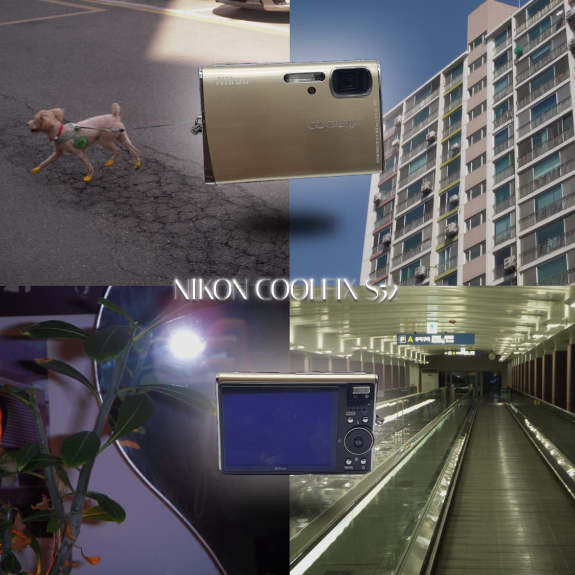 작례⭕️ 니콘 쿨픽스 S52 상품이미지1