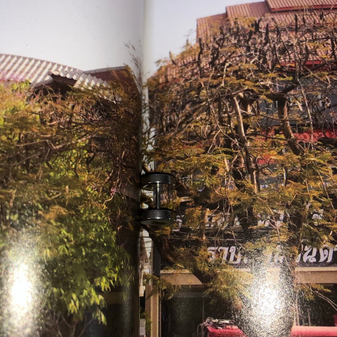 림보 결과 2 🪥 12,000 상품이미지3