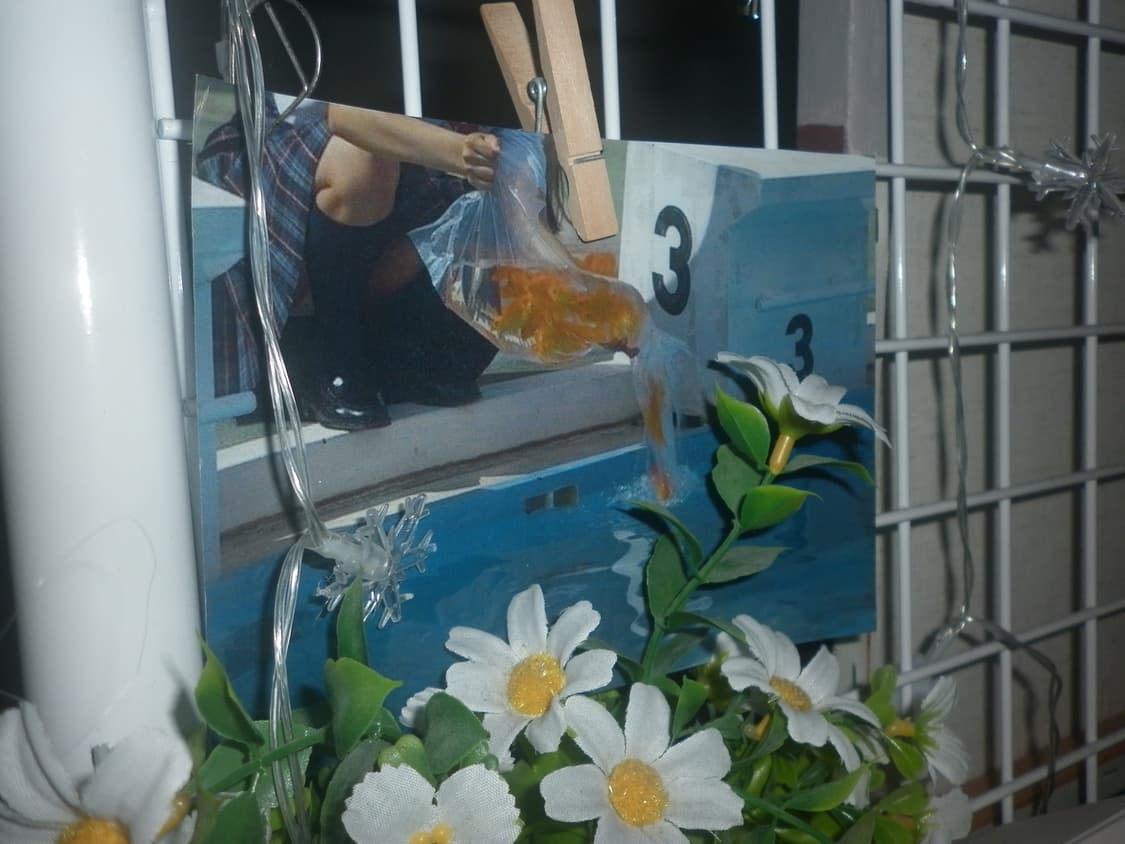 파나소닉 루믹스 DMC-F3 / 작고 가벼운 데일리 감성 디카 상품이미지2