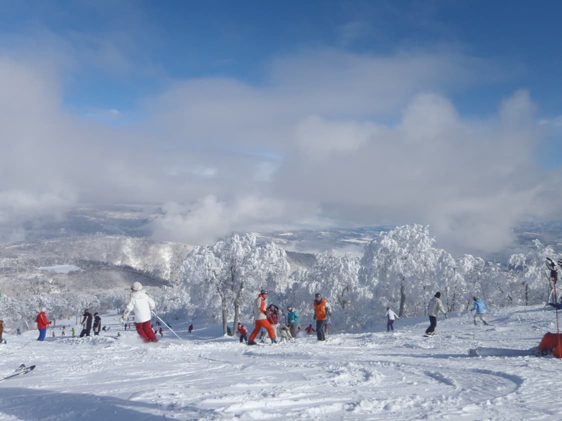 (한국어 지원) 올림푸스 Olympus Stylus Tough 3000 상품이미지9