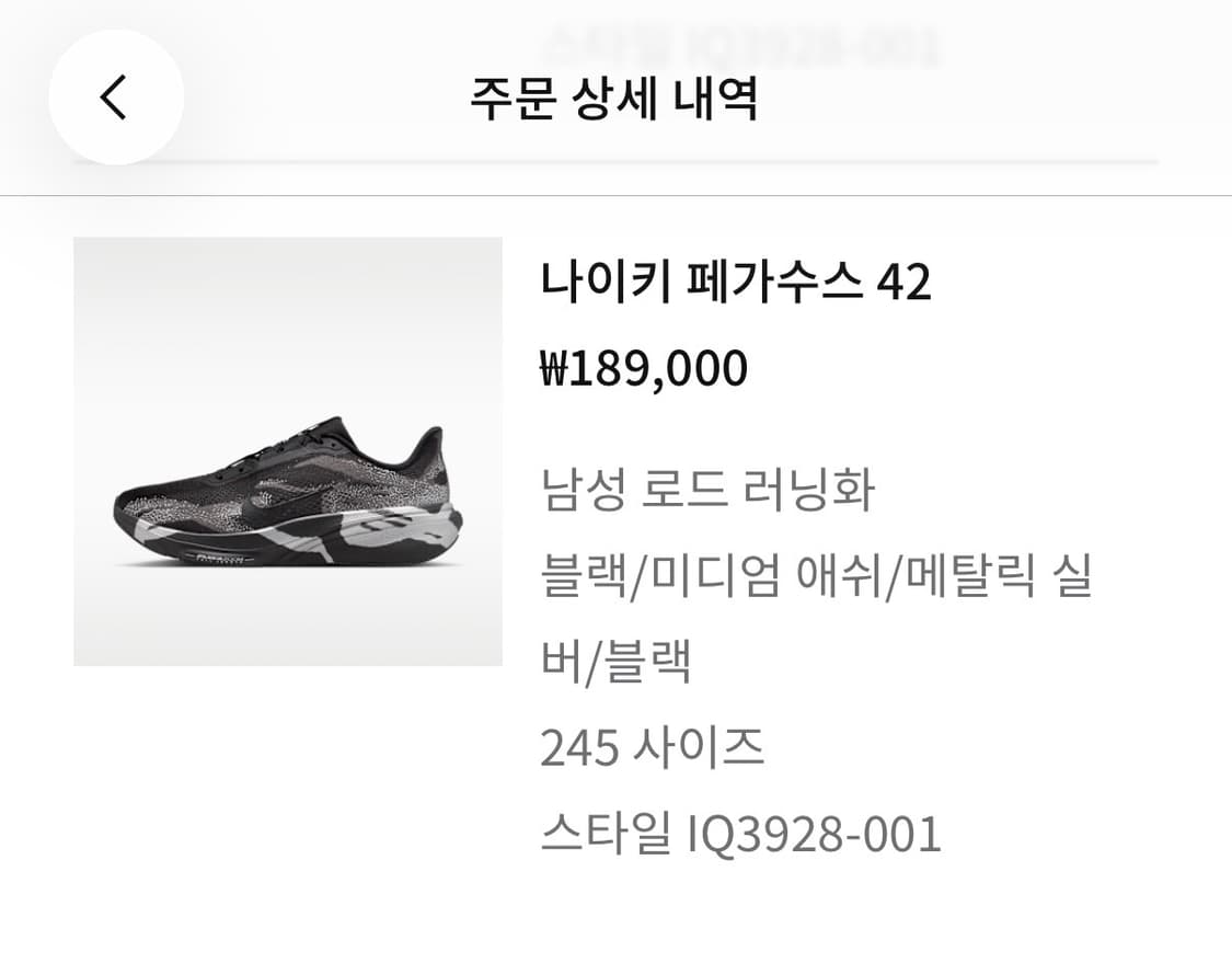 나이키 페가수스 42 245mm 상품이미지3