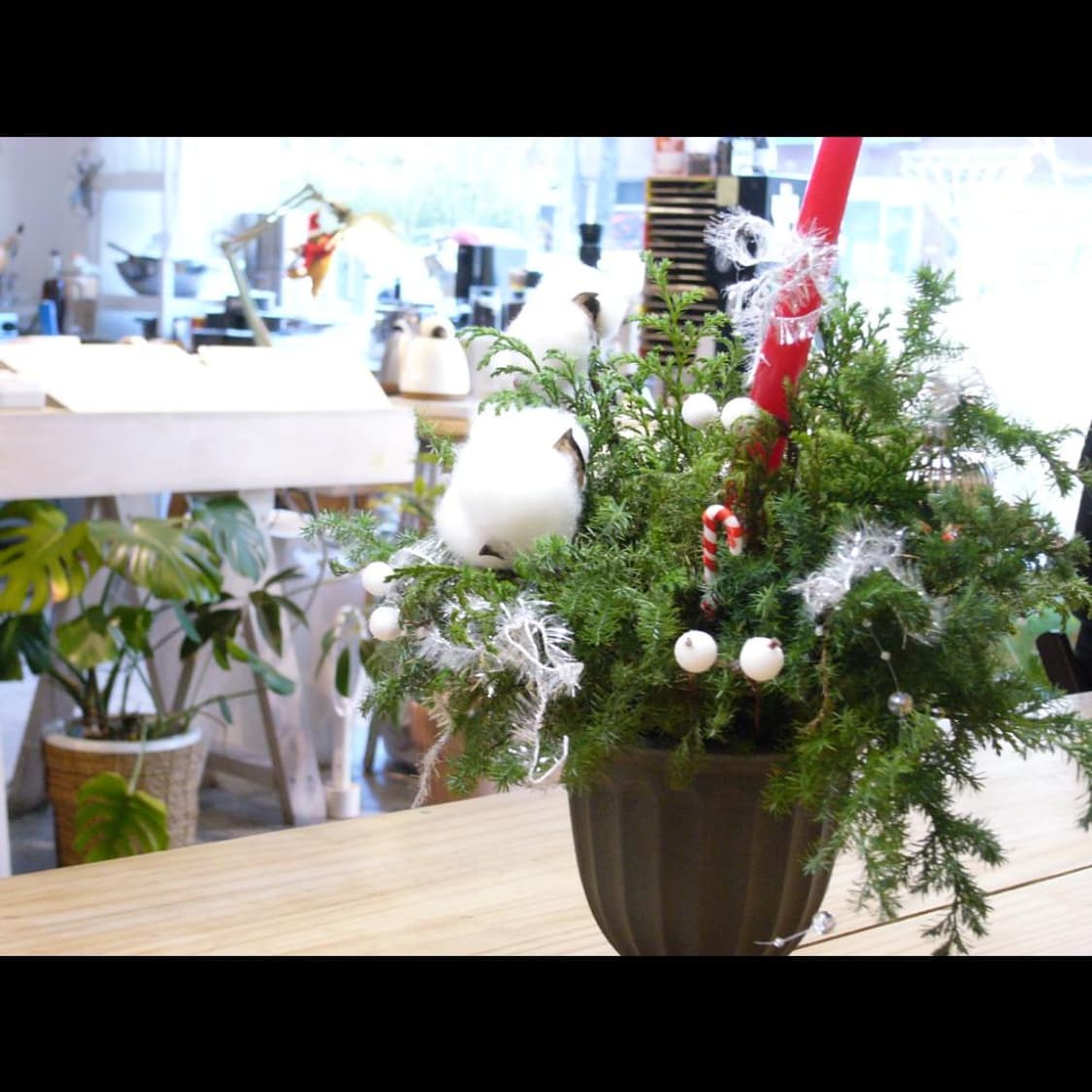 파나소닉 루믹스 F1 메탈실버✨ 빈티지 디카 디지털카메라 상품이미지2