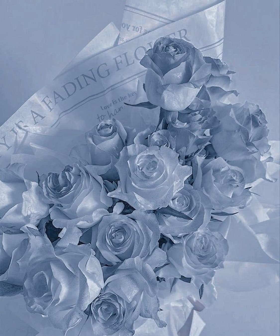 개인 상품이미지1