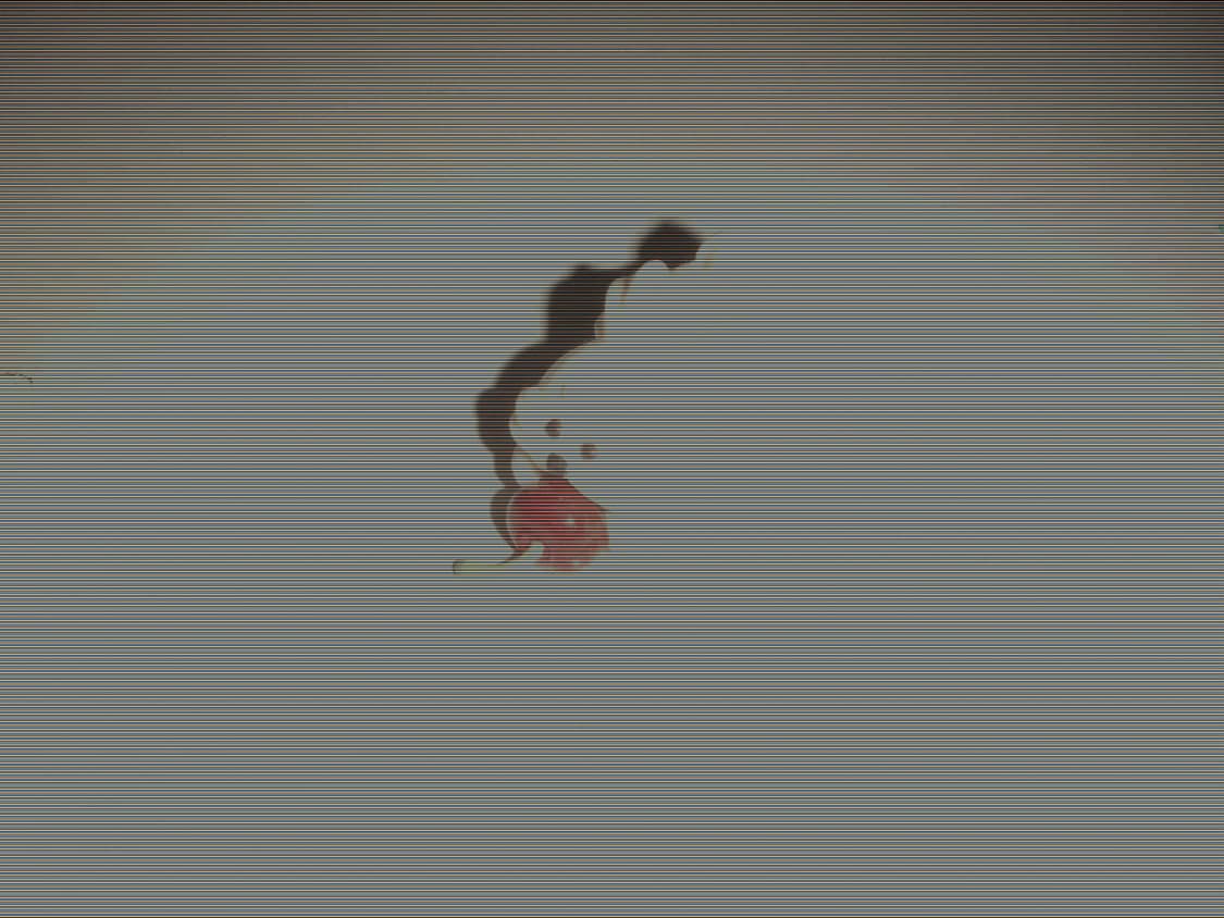 작례O) 코니카 미놀타 디미지 X1 디카 상품이미지7