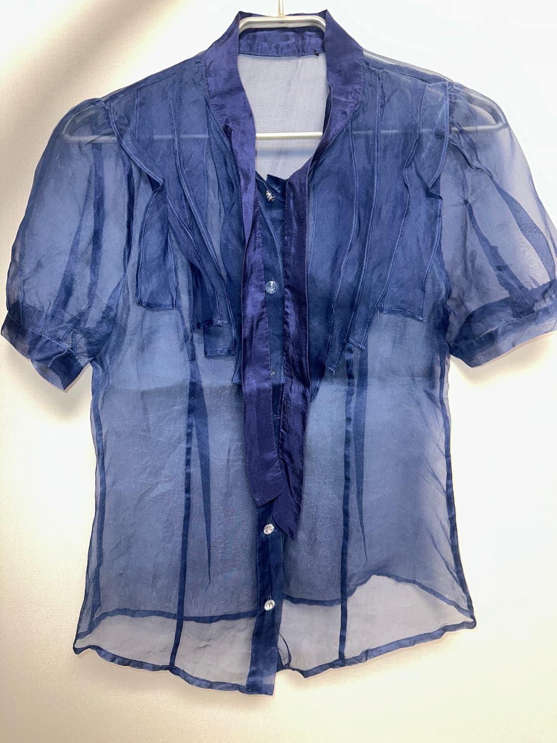 오간자 시스루 블라우스 상품이미지1