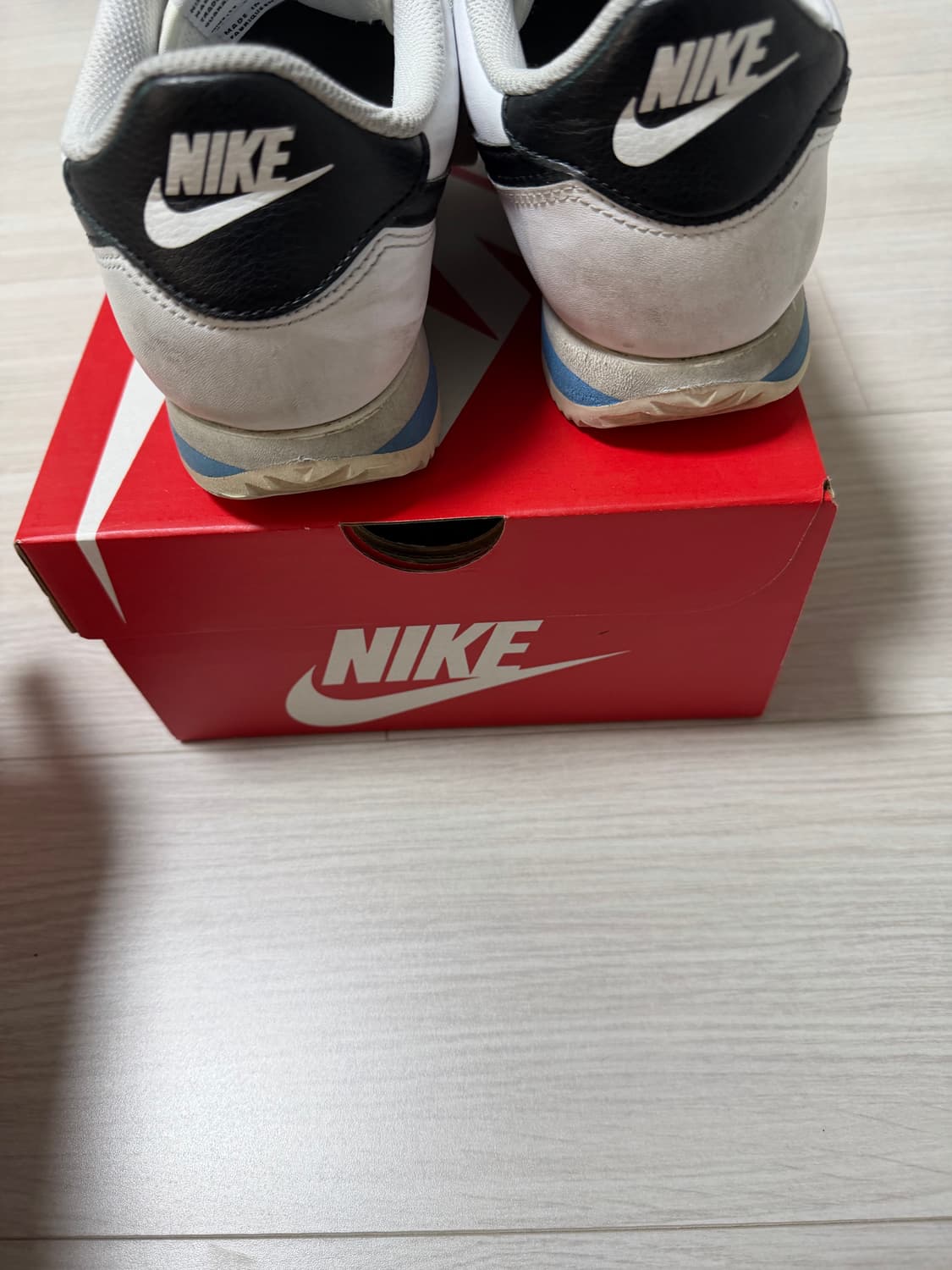 코르테즈 270 상품이미지2