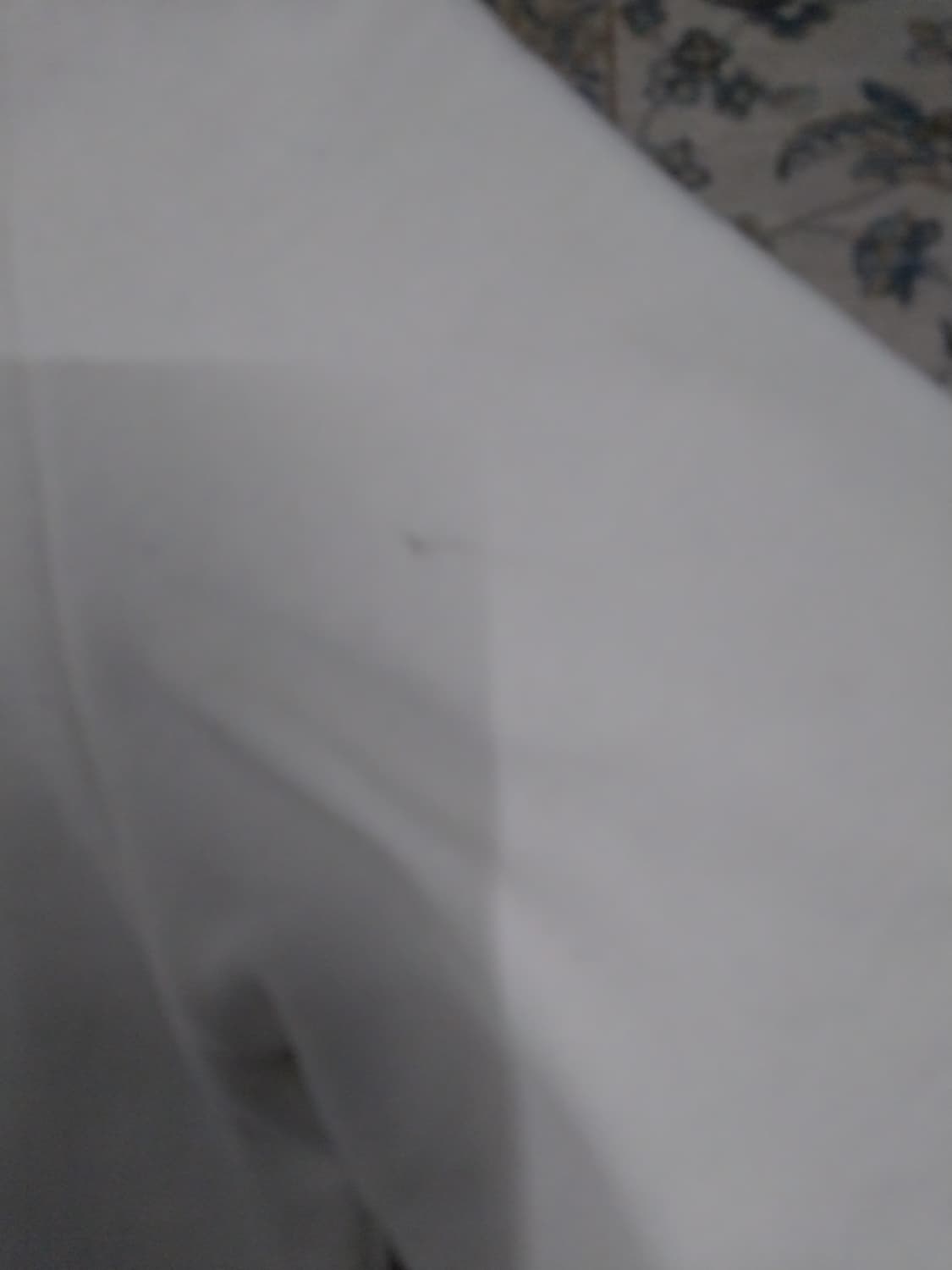 럭키슈에뜨 반팔티 F 상품이미지4