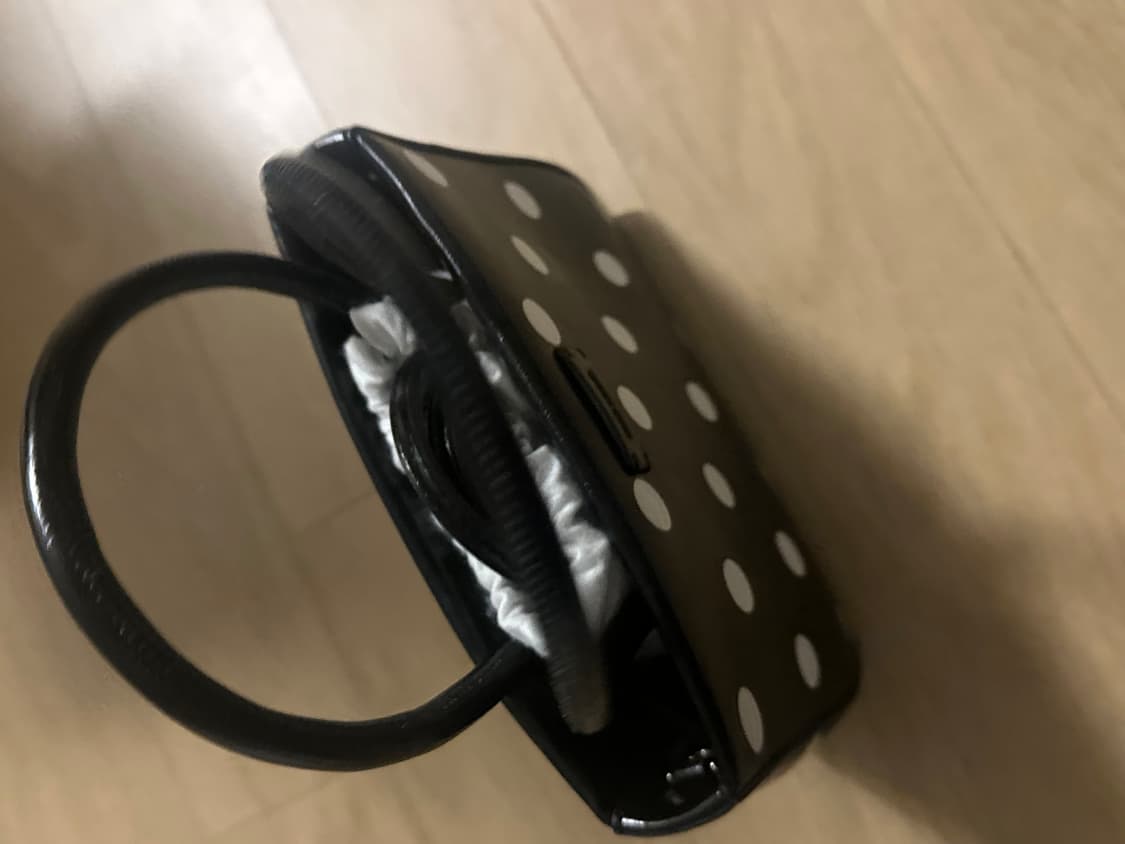 도트 미니백 상품이미지2