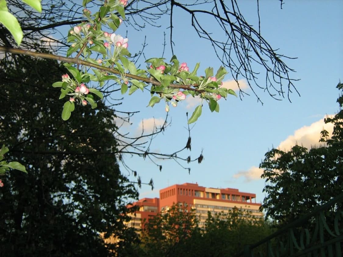 희귀&작례O) NIKON  COOLPIX 니콘 쿨픽스 S6100 디카 상품이미지3