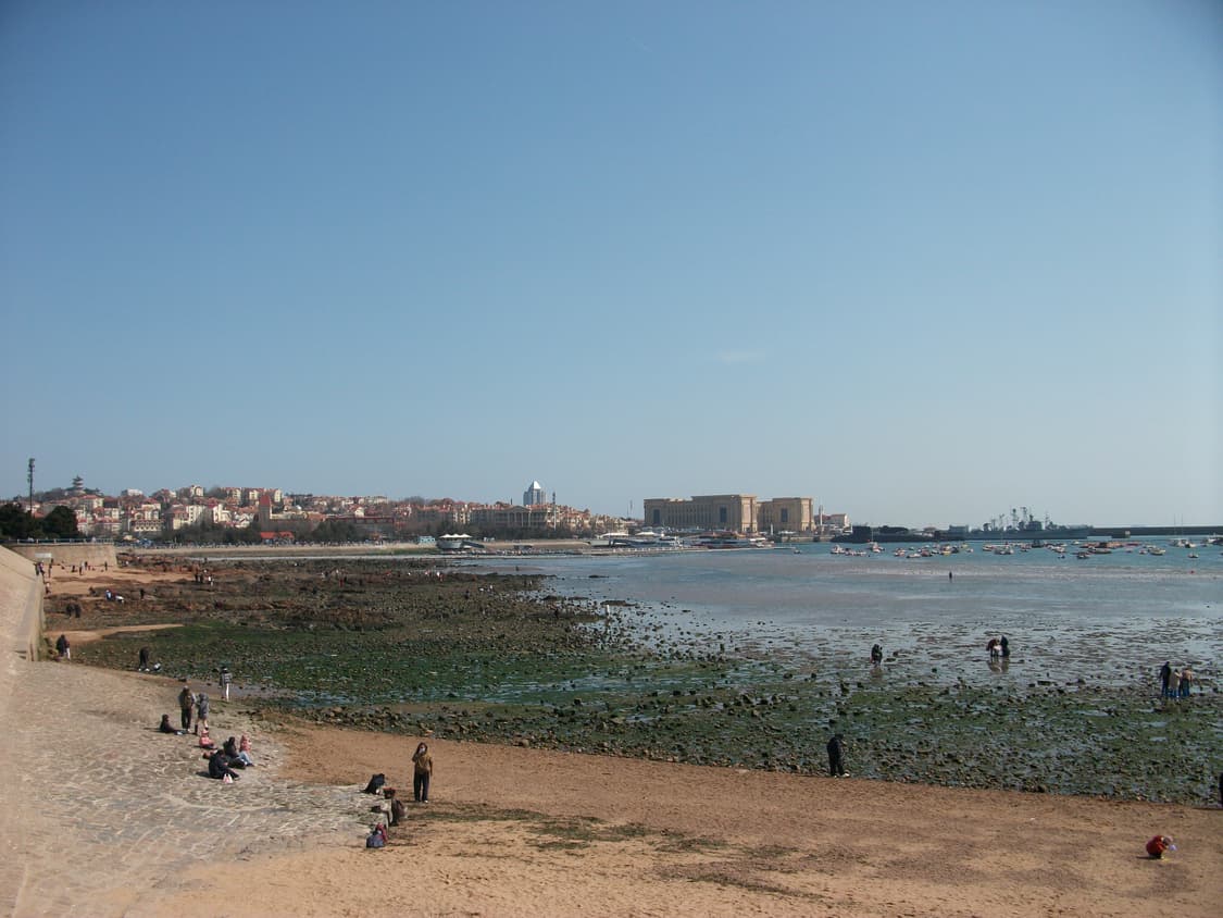 [빈티지 디카] 작례O 펜탁스 옵티오 e85 상품이미지5