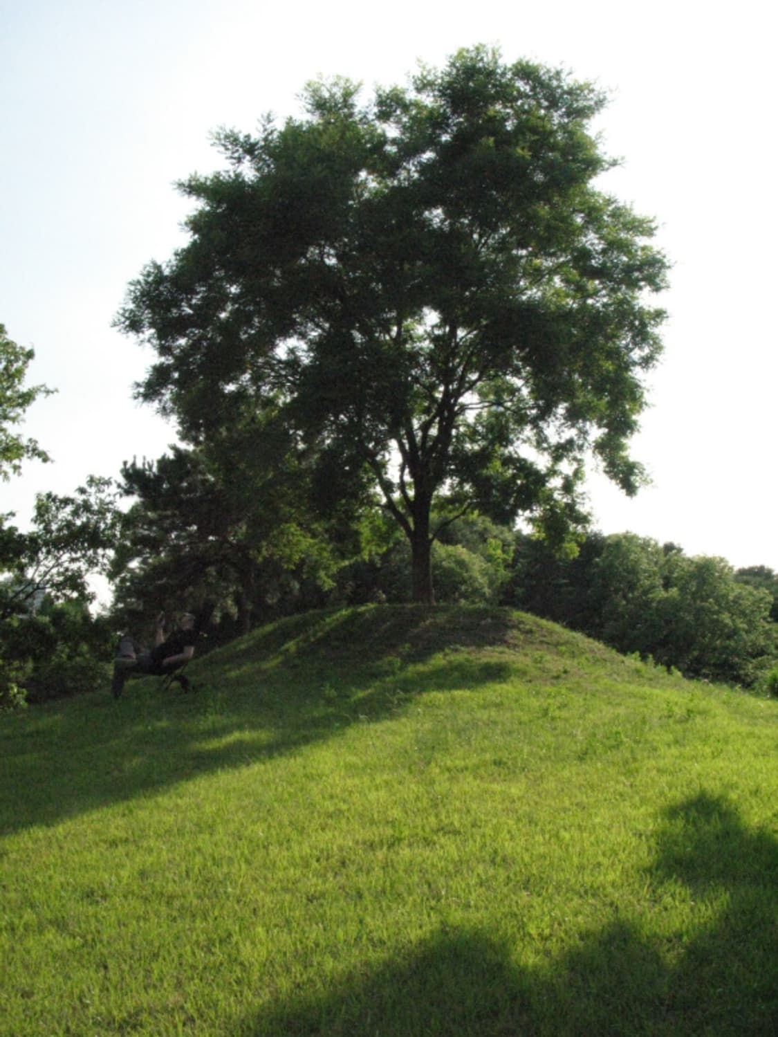 풀박 신품급 캐논 G7 빈티지 디지털 카메라 작례O  상품이미지8