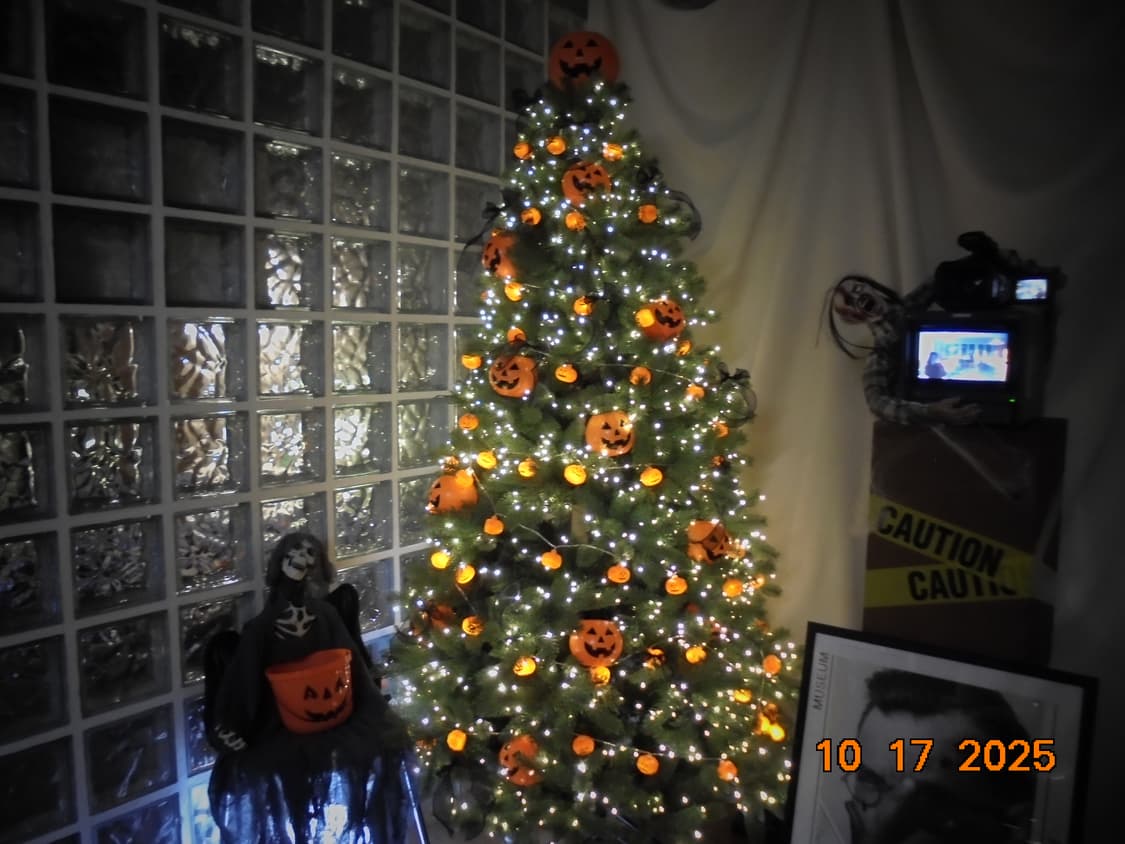 소니 사이버샷 dsc-w810 상품이미지10