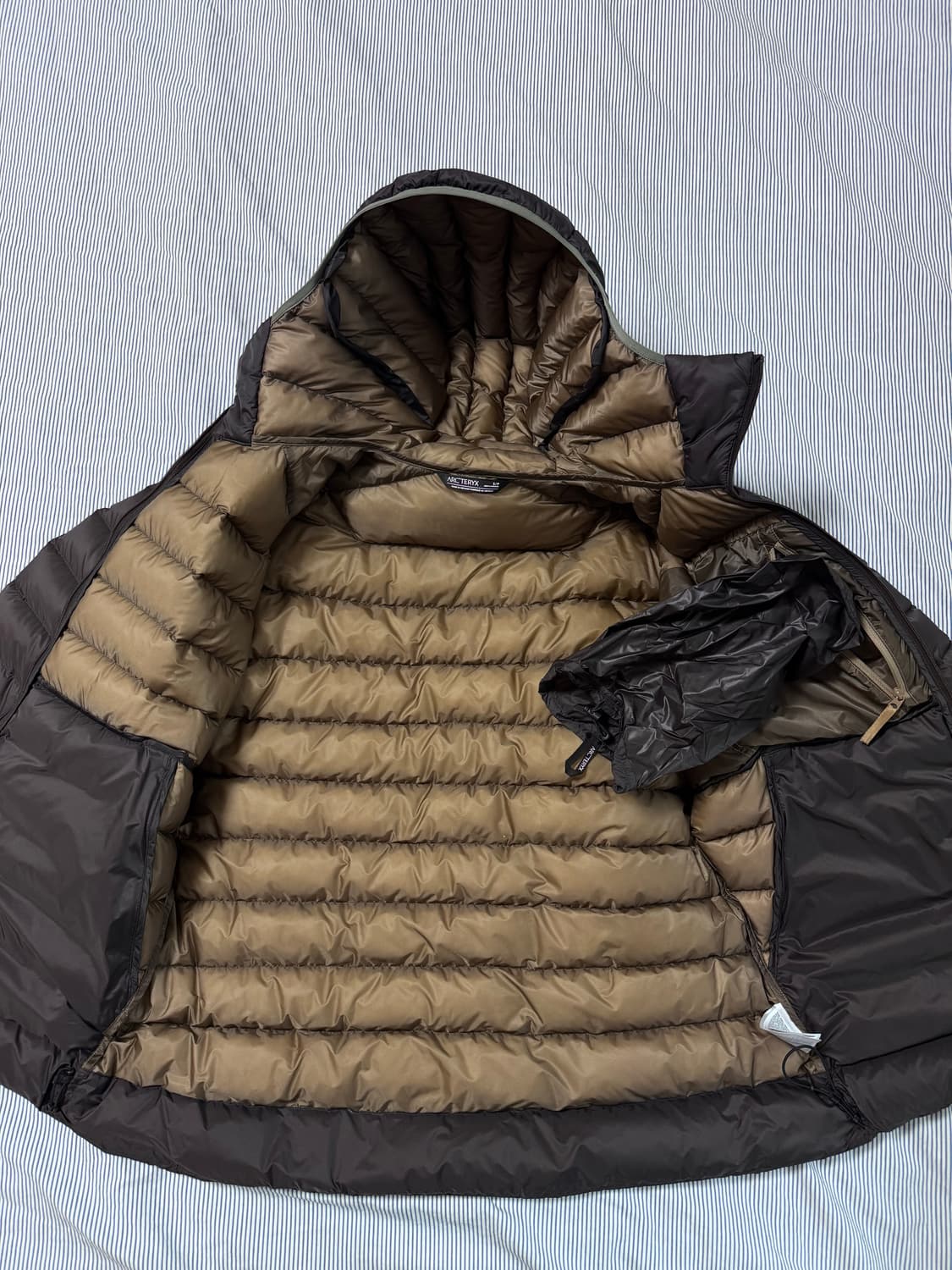 아크테릭스 세륨 후디 비터스 상품이미지9