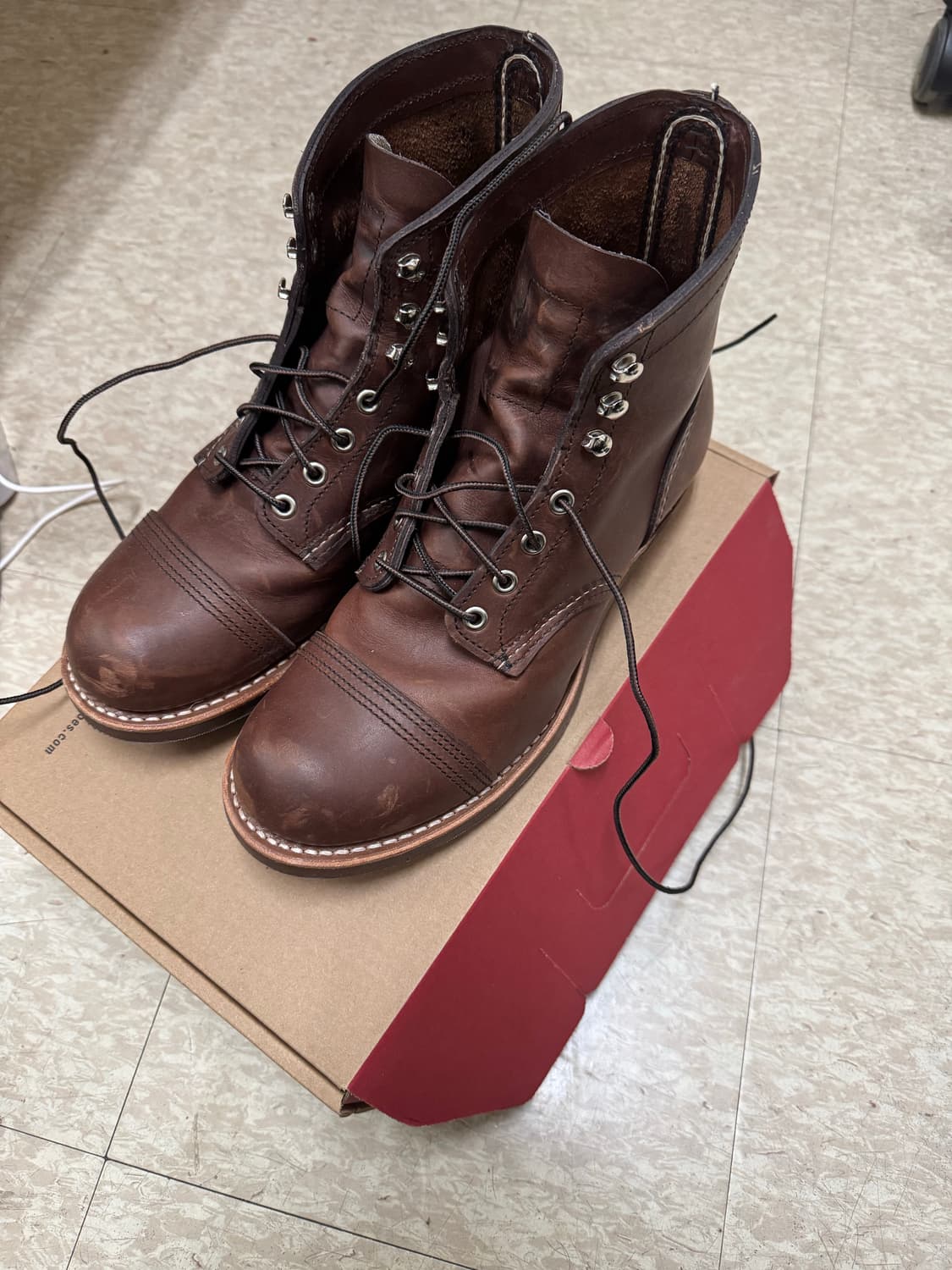 레드윙 아렌 8111 엠버하니스 260 상품이미지1