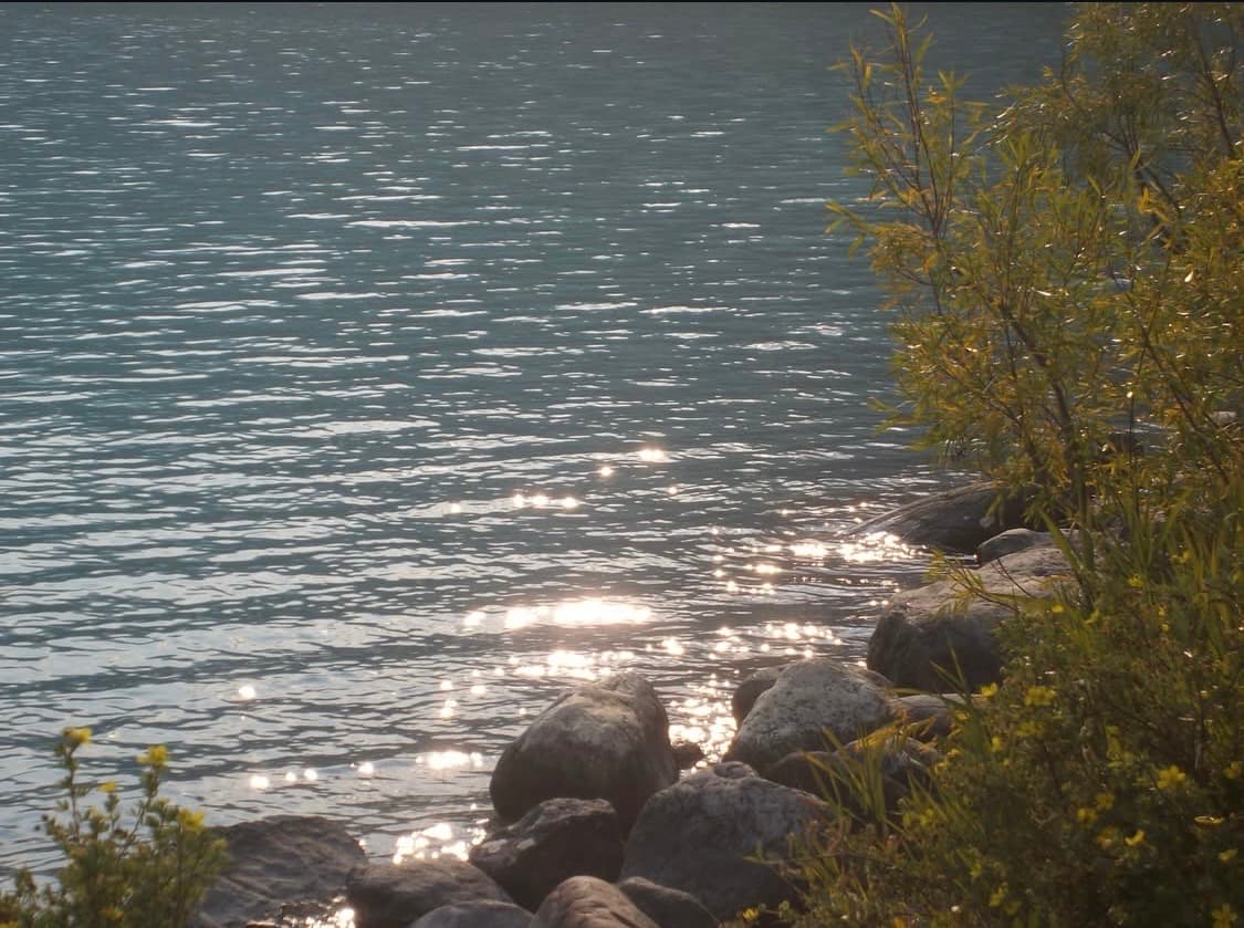 한효주 디카 MV800 삼성 미러팝 상품이미지7