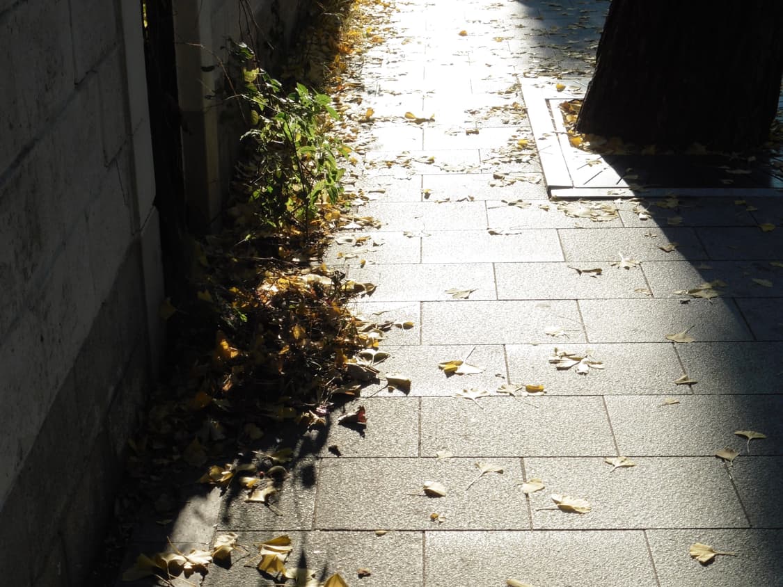 파나소닉 루믹스 DMC-TZ56 상품이미지10