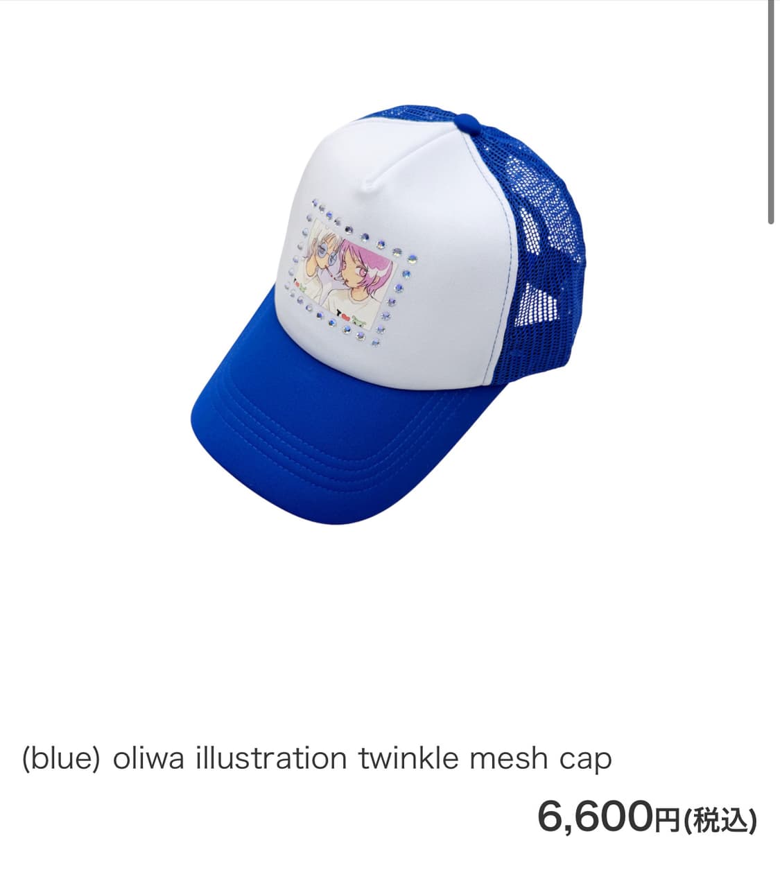 라즈베리파이 raspberry pie oliwa 매쉬캡 상품이미지2