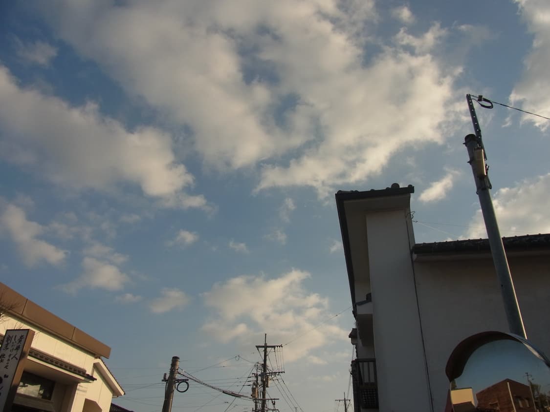 리코 Cx4 디지털 카메라 상품이미지9