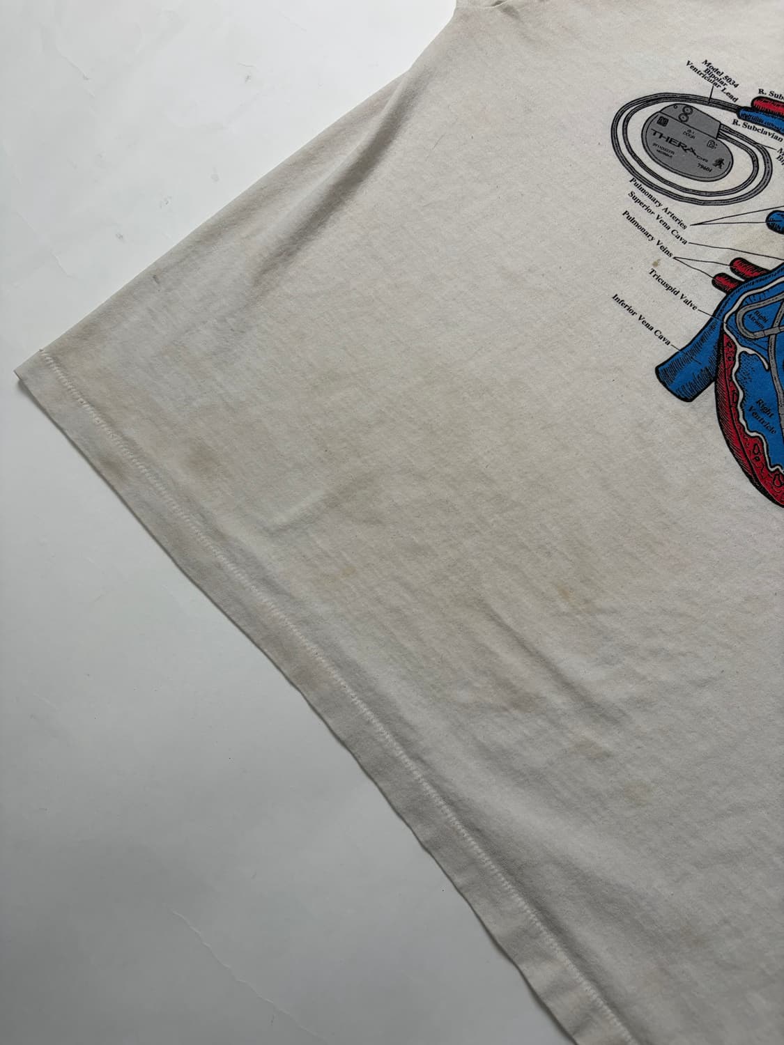 90s Anatomy Tee (white) 상품이미지8