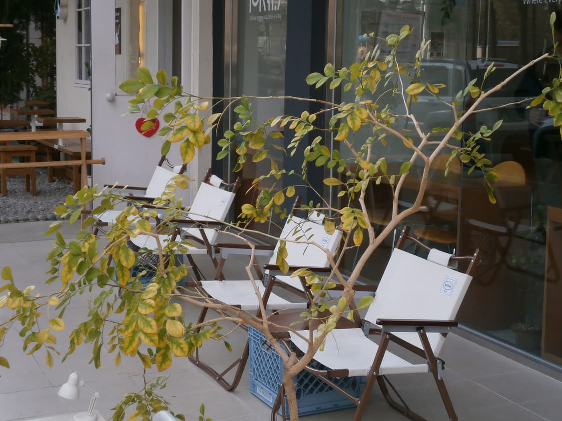 작례o, 소프트포커스) 올림푸스 VH-210 화이트 상품이미지10