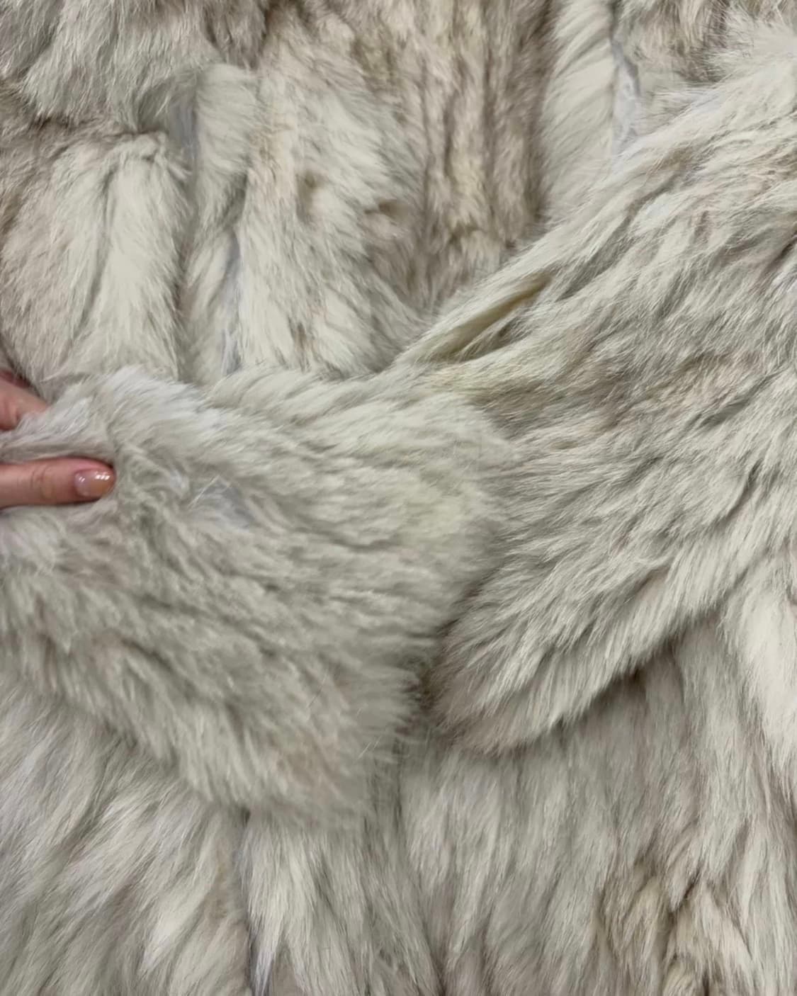 Saga fox 상품이미지7