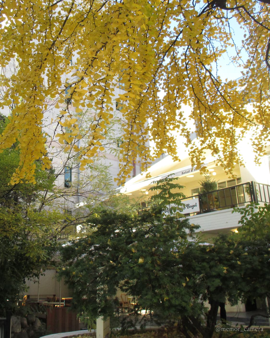 희귀매물,컬러/뉴트럴톤 작례🎀Canon IXY 130 캐논 디카 카메라 상품이미지8