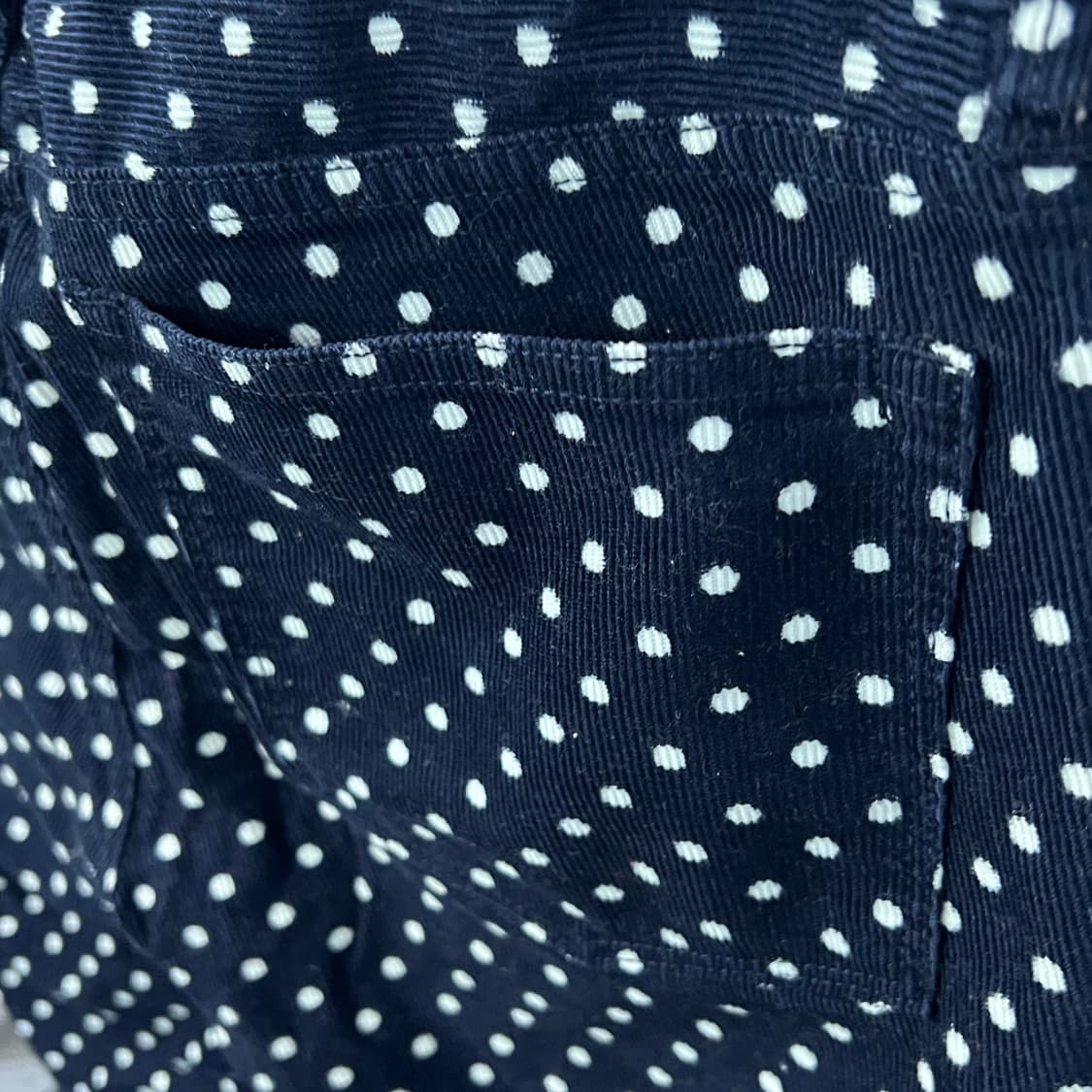 [31] 제이크루 폴카도트 코듀로이 팬츠 네이비  상품이미지5
