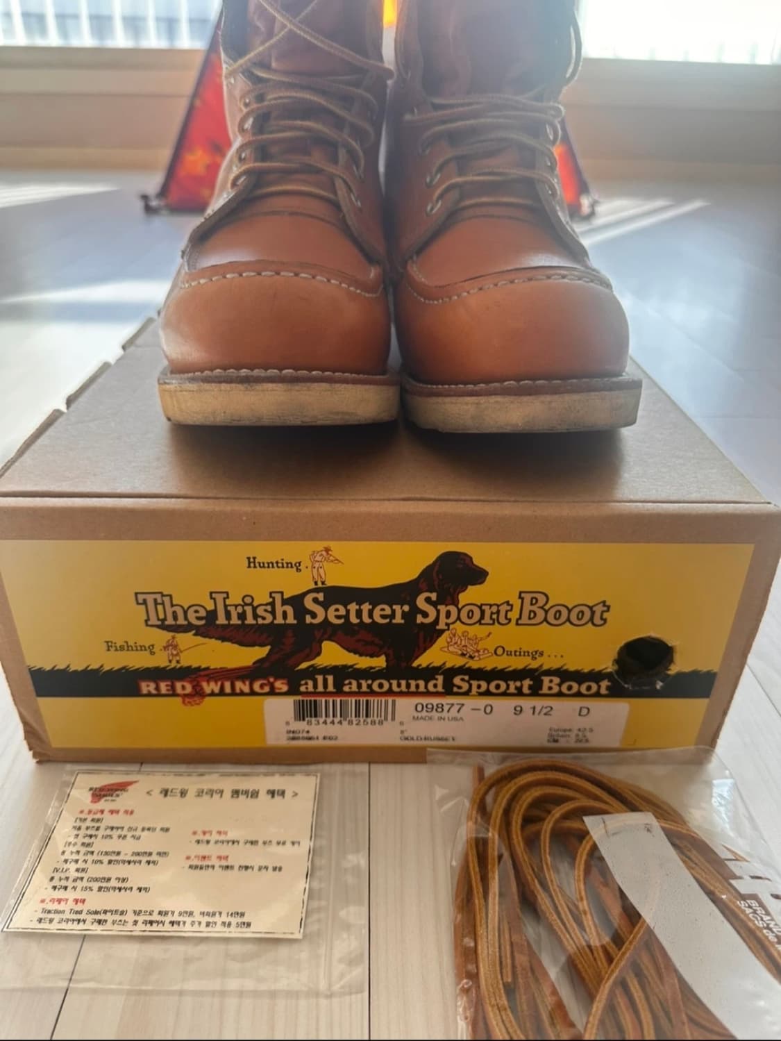 레드윙 9877 아이리쉬세터 275mm  상품이미지2