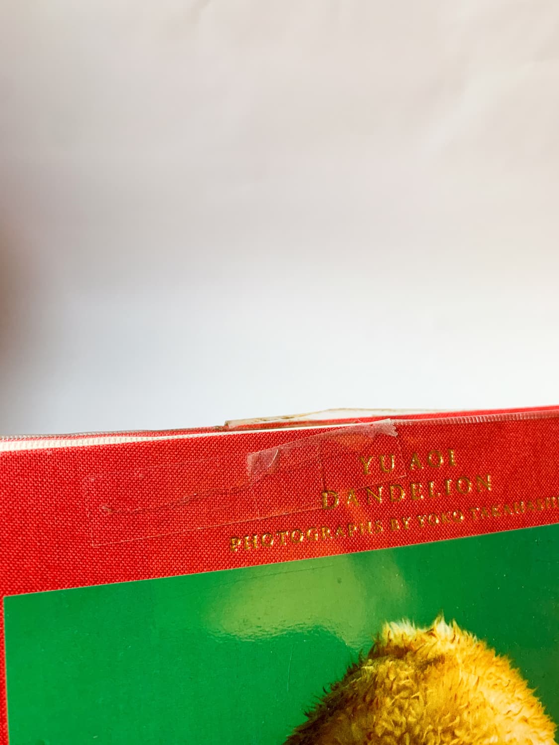 아오이 유우 사진집 단델리온 & 빈티지 모자 장갑 set 상품이미지4