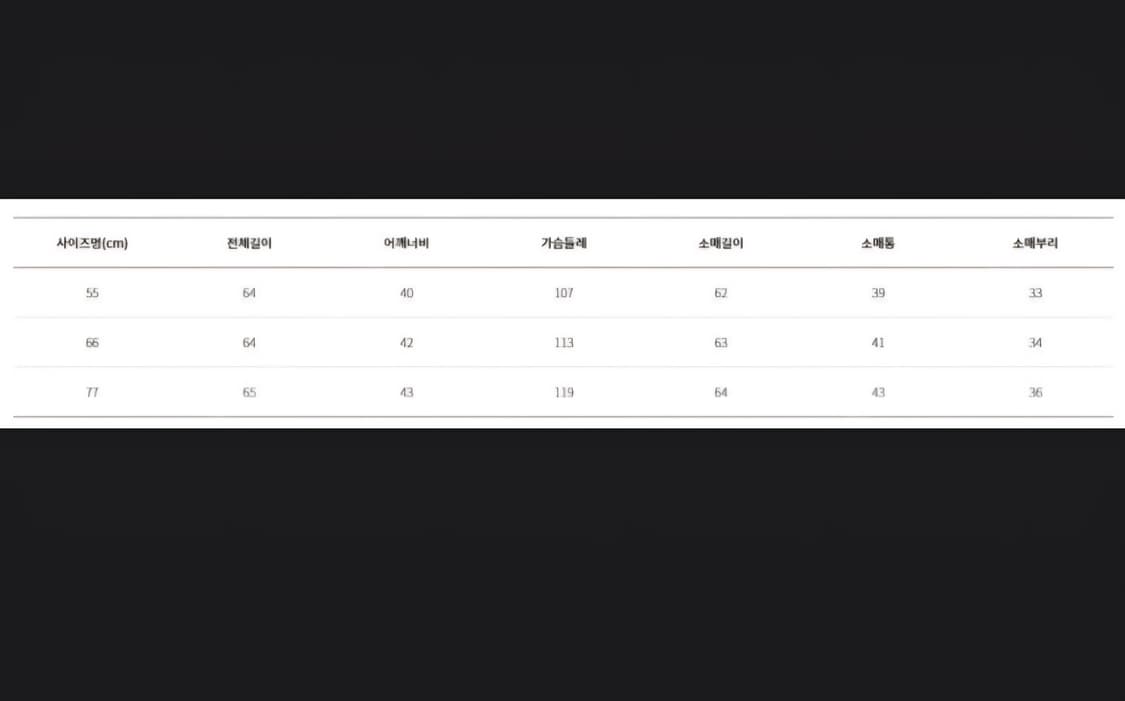 lynn 린 구스다운 패딩 자켓 상품이미지4