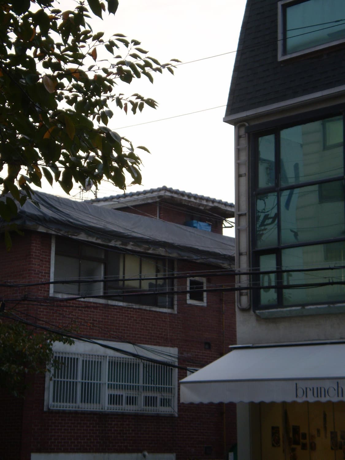 (작례O) 올림푸스 FE-210 빈티지 디카 상품이미지8