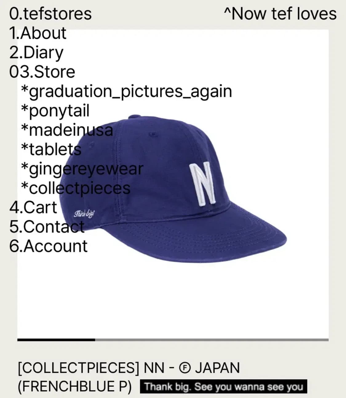 테프스토어즈x컬렉트피시스 볼캡 상품이미지1