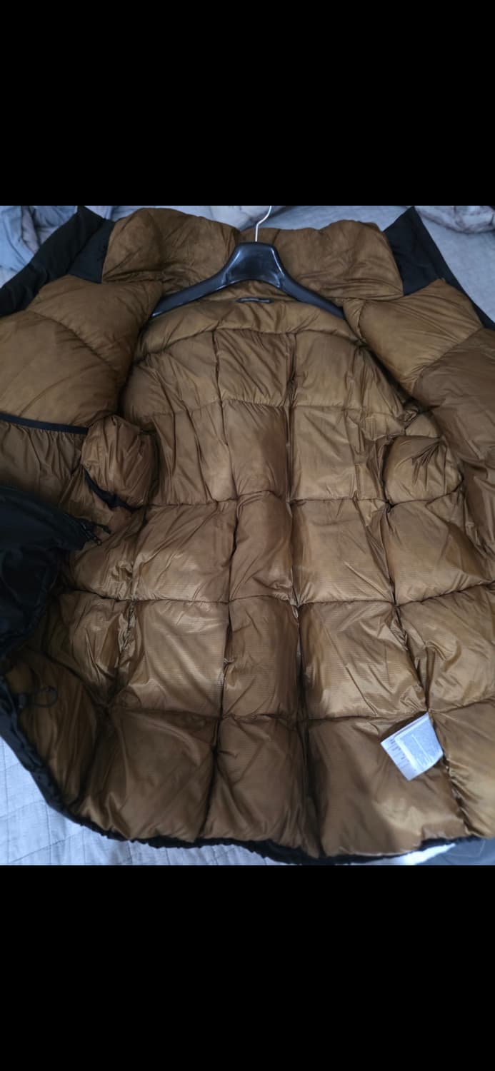 아크테릭스 파이어비 AR   24K 골드 (L) 상품이미지3