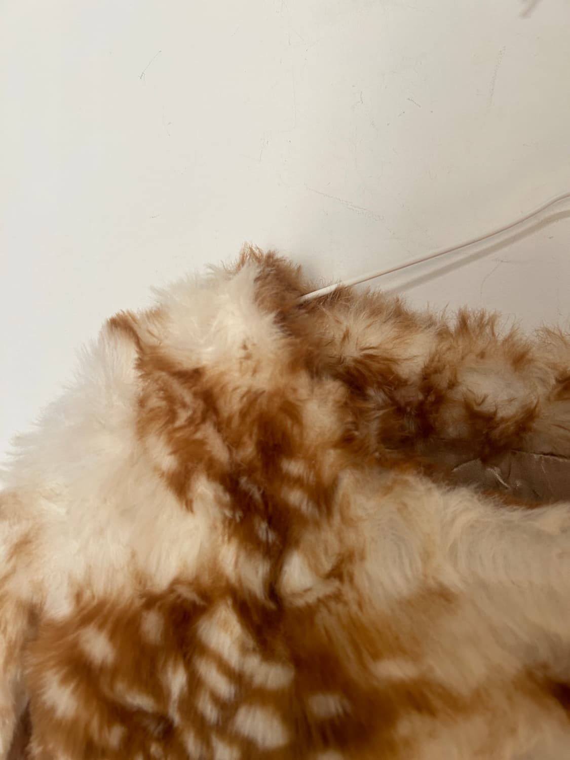 Bambi jacket 상품이미지2