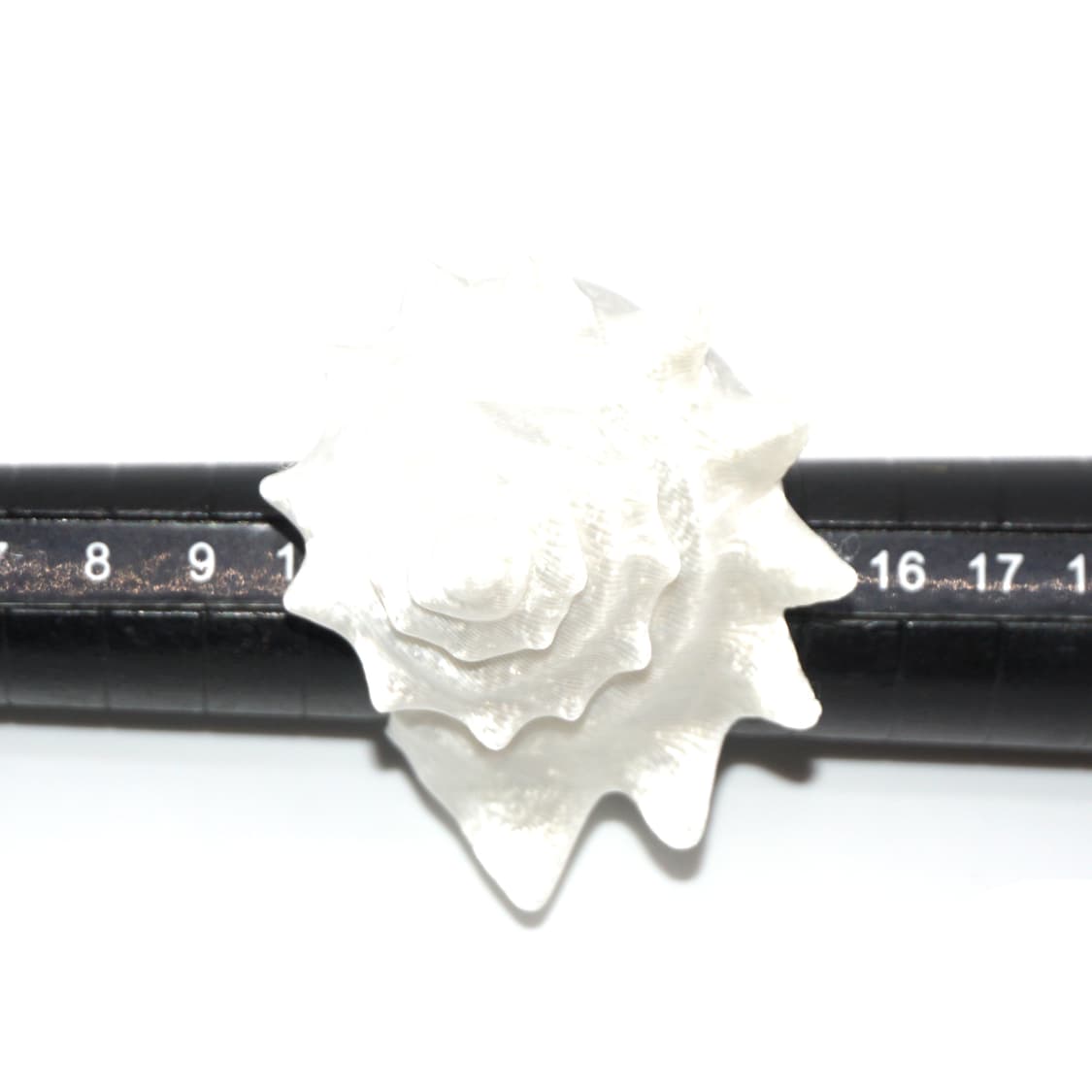 shl 반지 상품이미지3