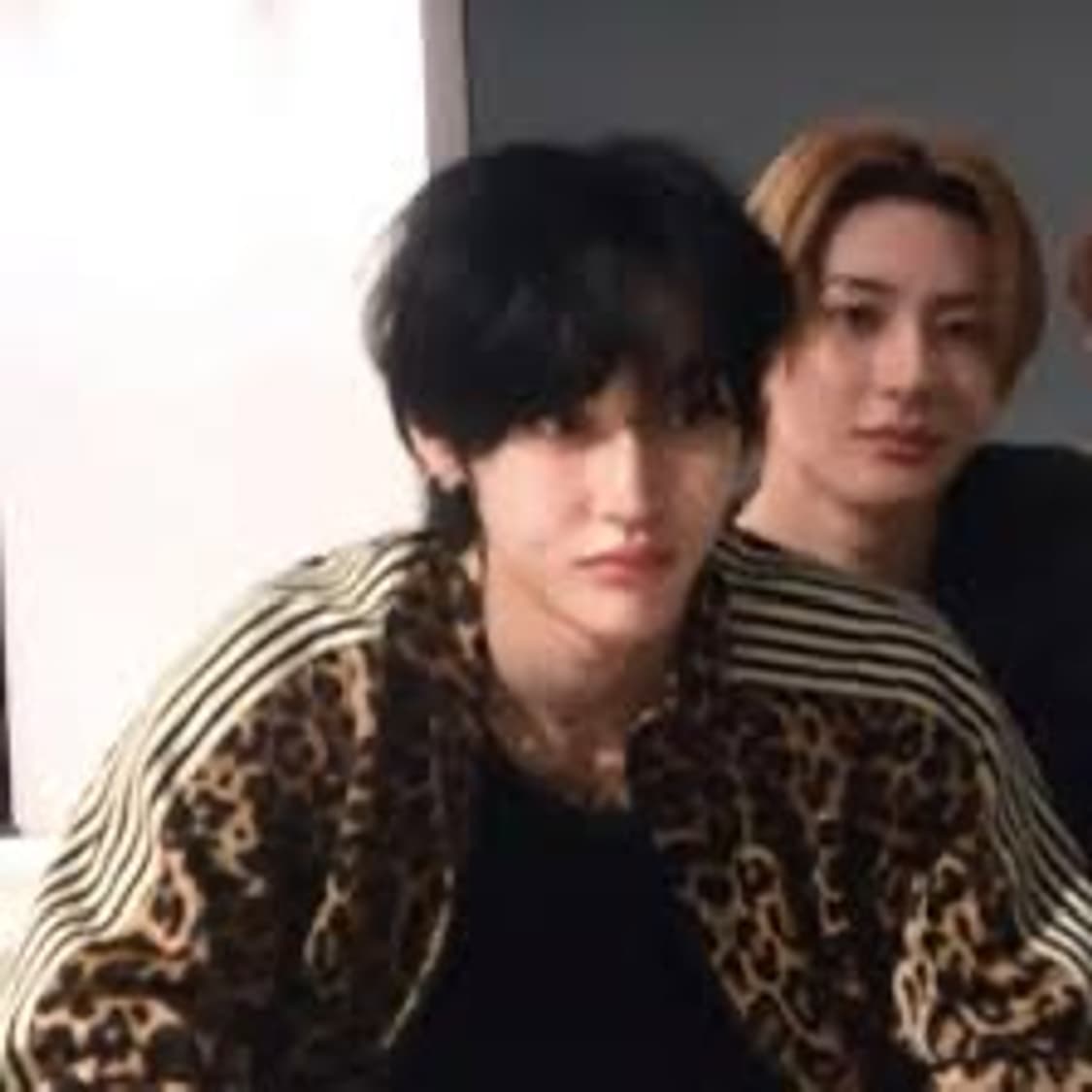 캐피탈 레오파드 스무스 트랙자켓 져지 (원빈착용) 상품이미지5