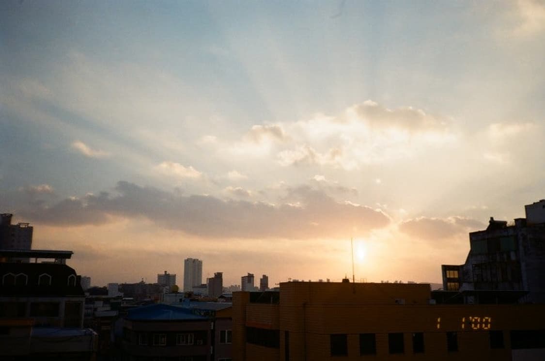 캐논 Prima AF-9S 필름 카메라 (빈티지 카메라) 상품이미지7