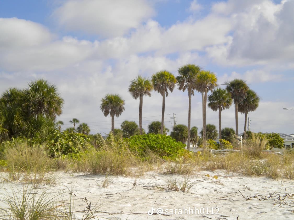 니콘 쿨픽스 s220 핑크 💕풀박 coolpix 디카 /초미품🩷✨ 상품이미지7