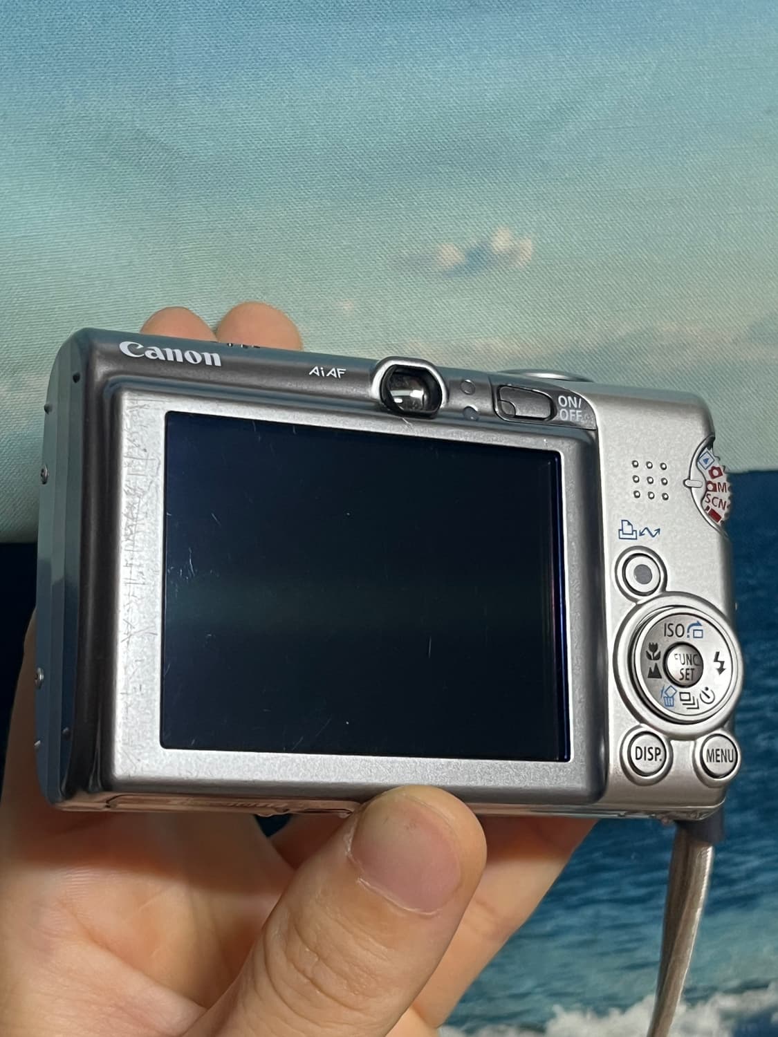 [작례] 캐논 익서스950is, 익시810, SD850is 상품이미지6
