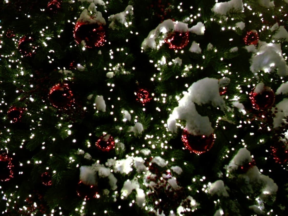 Vivitar vivicam 3785 비비캠3785 디카 디지털카메라 상품이미지4