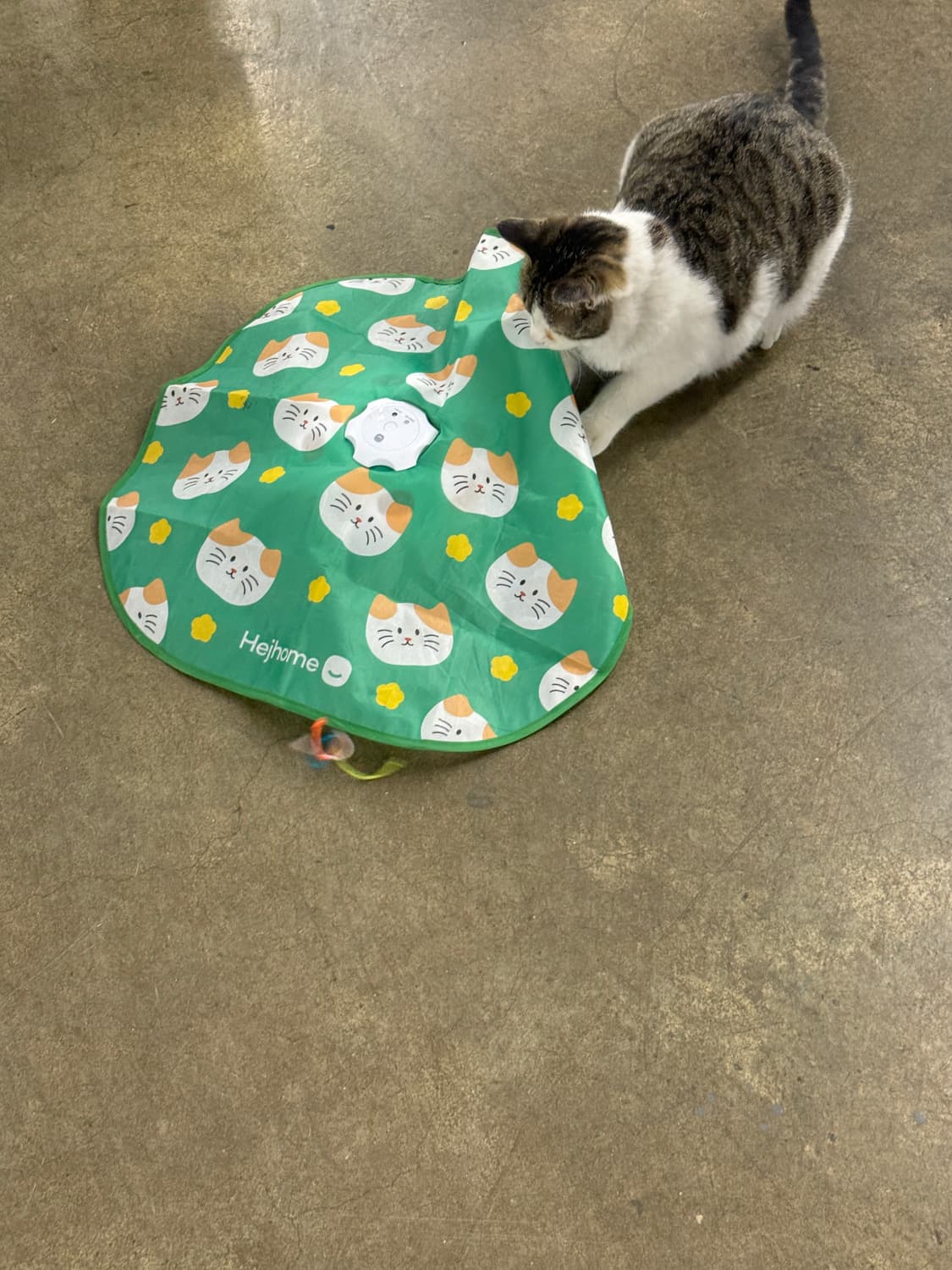 타임결제건 상품이미지1