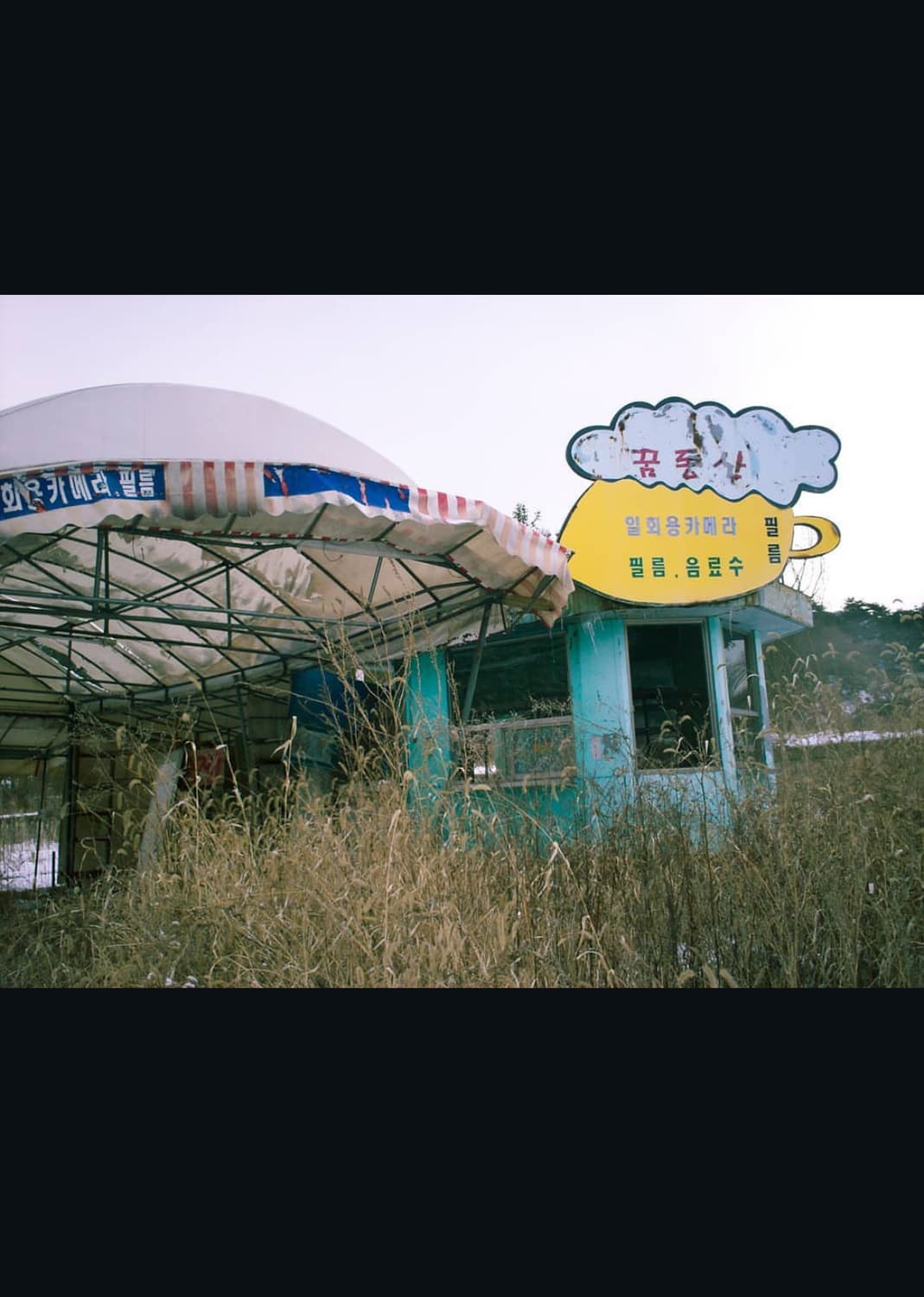 코닥 이지쉐어 c315 디지털카메라 상품이미지8
